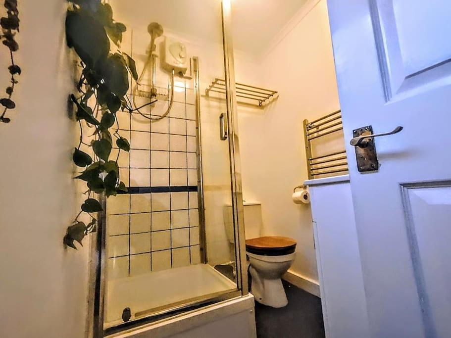 Cute Cottage 4 Mins From Cafes Station And Sea St Leonards-on-Sea Εξωτερικό φωτογραφία