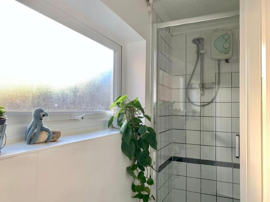 Cute Cottage 4 Mins From Cafes Station And Sea St Leonards-on-Sea Εξωτερικό φωτογραφία
